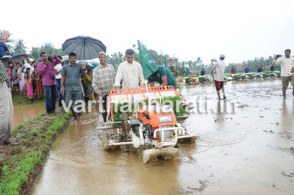 ಗದ್ದೆಗಿಳಿದು ಭತ್ತ ನಾಟಿ ಯಂತ್ರದಲ್ಲಿ ನಾಟಿ ಮಾಡಿದ ಸಚಿವ!